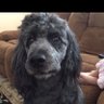 Mr. Walter profil fotoğrafı