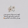 حسن عسيري 的头像