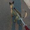 宏's profile picture