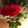 愛優美🌹 profil fotoğrafı