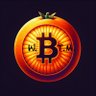 What Bitcoin Taught Me's profile picture