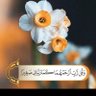 عمر لبيضي 的头像