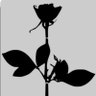 JLuis's profile picture