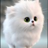 jani Mallick's profile picture
