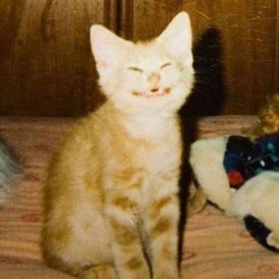 Kenny's profile picture
