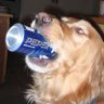 Profilbild von rene