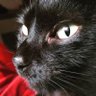 Alexe3962 profil fotoğrafı