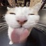Profilbild von fellapooop