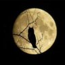 Luna profil fotoğrafı