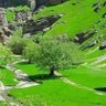 Фото профиля Ziauddin zia
