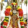prabhu g's profile picture