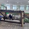 Фото профиля JcakWu