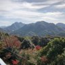 人生山谷あり⛰️'s profile picture