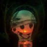 shhimapotato's profile picture