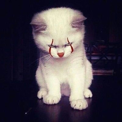 CinziaFufy74's profile picture