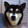 Фото профиля さやか🐺❤️LOVERED