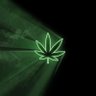 Ganja's profile picture