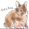 蓮見ちゃむ🐰🐴🦄✨'s profile picture