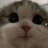 Ç profil fotoğrafı
