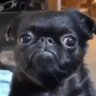 natim's profile picture