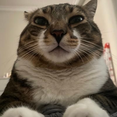 arthur, sonic ve luna's profile picture
