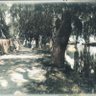 Фото профиля mehdaoui benameur
