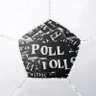 Flying_Polls profil fotoğrafı