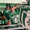 pote mitalves's profile picture