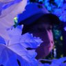 Leng profil fotoğrafı
