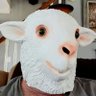 Profilbild von JonMWaz