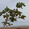 Фото профиля زيداني قويدر