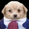 Harami's profile picture