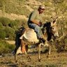 Profilbild von donkeyridin