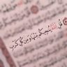 Фото профиля Mohamed Maaty