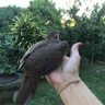 Angel🇫🇷🏴☠️ profil fotoğrafı