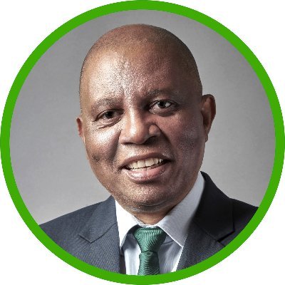 HermanMashaba's profile picture