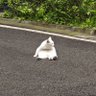 George's profile picture