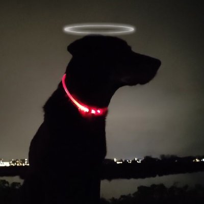 Cleo🌈 & her emotional support human 🐶 😊's profile picture