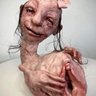Kajtek_Sugestia's profile picture