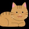 虎猫 的头像