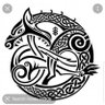 Фото профиля The last Drengr