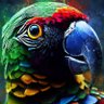 CP profil fotoğrafı