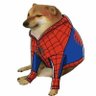 Фото профиля SPIDER CHEEMS.SOL