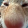 Telken profil fotoğrafı