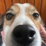 p profil fotoğrafı