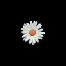Фото профиля Kent Daisy
