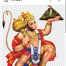 Фото профиля Vikash