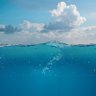 くれご🐬 profil fotoğrafı