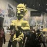 Laini Dan 的头像
