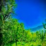 Waseem Mir 的头像